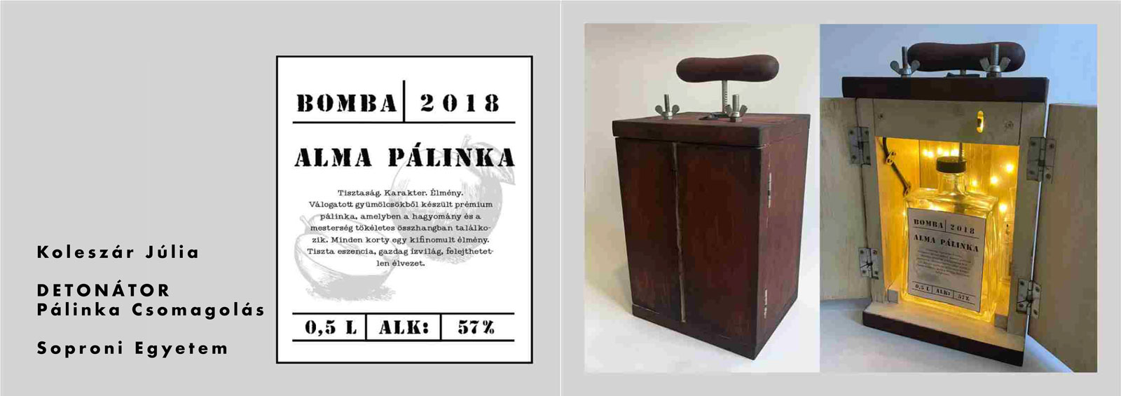 Koleszár-Júlia-csaosz-prezentáció-3